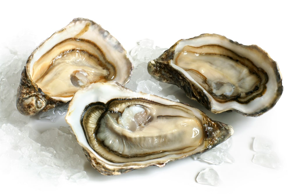 ¿Cuáles son los beneficios de las ostras para la salud?