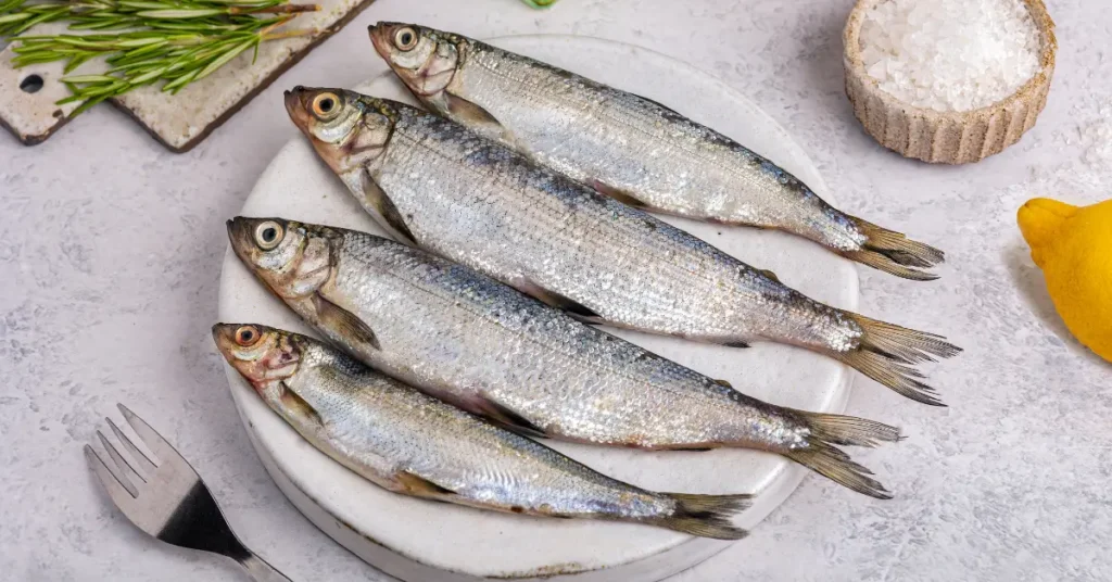 Beneficios del pescado gallego: Propiedades nutricionales y aportes a la salud Beneficios del pescado gallego