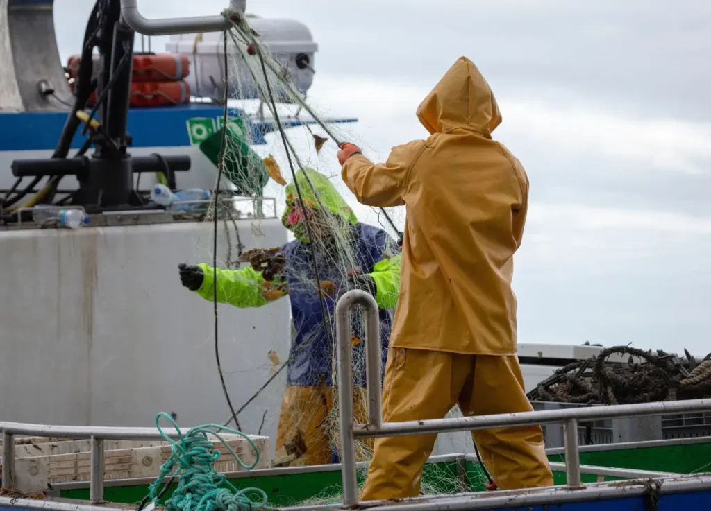 Pesca sostenible en Galicia: Un compromiso con el medio ambiente y las futuras generaciones Pesca sostenible en Galicia