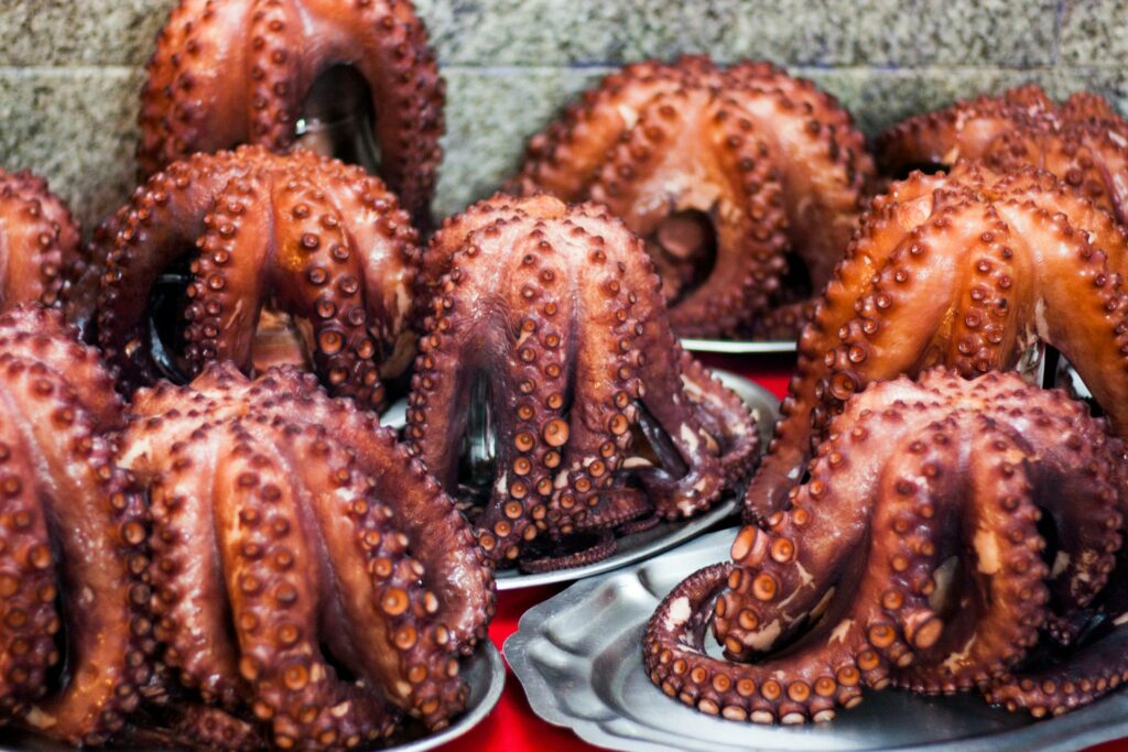 Dónde comprar online pulpo de excelente calidad comprar pulpo online sin intermediarios