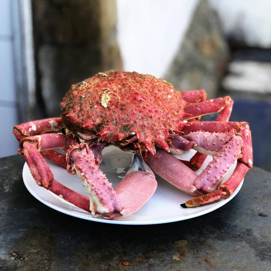 Qué marisco gallego elegir para sorprender en una cena especial Qué marisco gallego elegir para sorprender en una cena especial