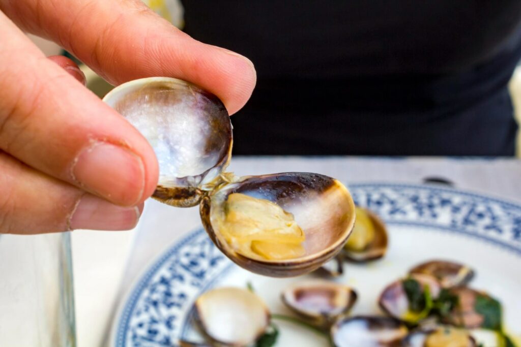 Qué marisco gallego elegir para sorprender en una cena especial Qué marisco gallego elegir para sorprender en una cena especial