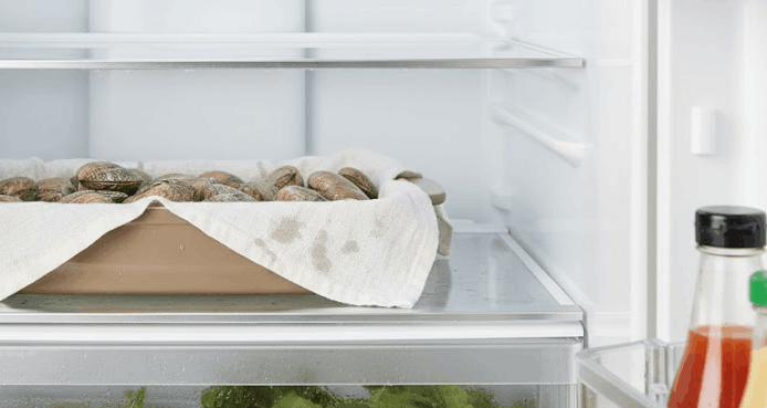 Cómo conservar marisco vivo y fresco en casa sin perder calidad cómo conservar marisco vivo y fresco en casa sin que pierda calida