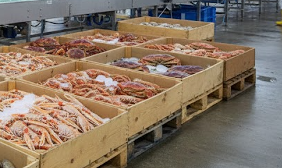 Diferencias entre marisco gallego de lonja y marisco de importación Diferencias entre marisco gallego de lonja y marisco de importación